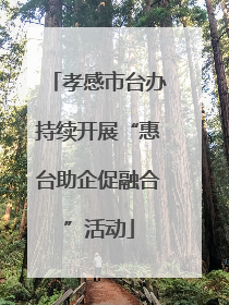孝感市台办持续开展“惠台助企促融合”活动