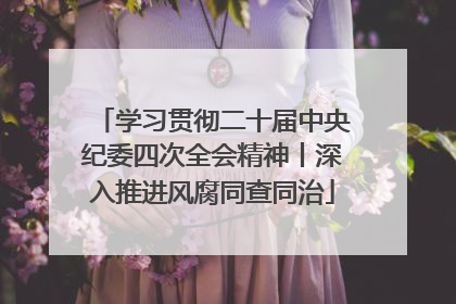 学习贯彻二十届中央纪委四次全会精神丨深入推进风腐同查同治