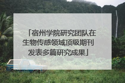宿州学院研究团队在生物传感领域顶级期刊发表多篇研究成果