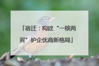 宿迁：构建“一核两翼”护企优商新格局