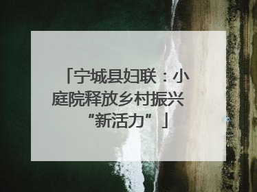 宁城县妇联：小庭院释放乡村振兴“新活力”