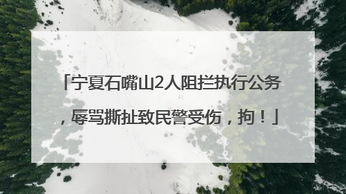宁夏石嘴山2人阻拦执行公务，辱骂撕扯致民警受伤，拘！