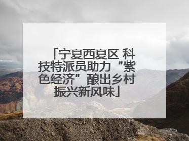 宁夏西夏区 科技特派员助力“紫色经济”酿出乡村振兴新风味