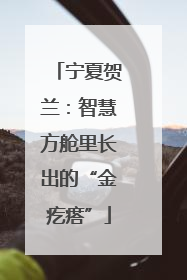 宁夏贺兰：智慧方舱里长出的“金疙瘩”