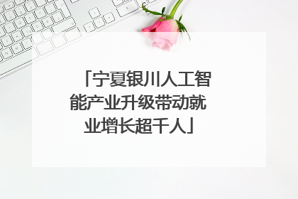 宁夏银川人工智能产业升级带动就业增长超千人