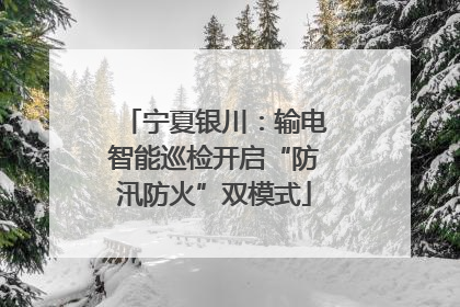 宁夏银川：输电智能巡检开启“防汛防火”双模式