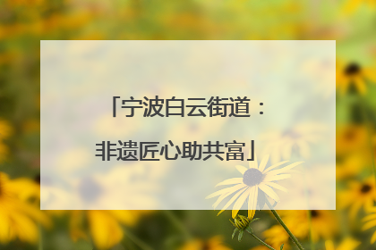 宁波白云街道：非遗匠心助共富