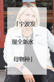 宁波发现全新水母物种