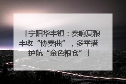 宁阳华丰镇：奏响夏粮丰收“协奏曲”，多举措护航“金色粮仓”