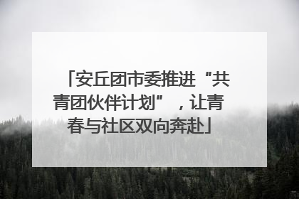 安丘团市委推进“共青团伙伴计划”，让青春与社区双向奔赴