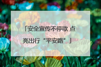 安全宣传不停歇 点亮出行“平安路”