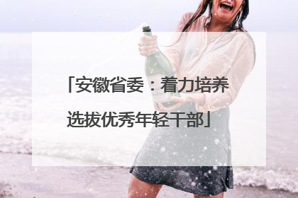 安徽省委：着力培养选拔优秀年轻干部