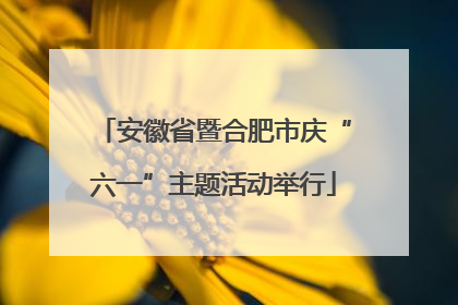 安徽省暨合肥市庆“六一”主题活动举行