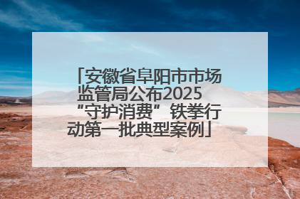 安徽省阜阳市市场监管局公布2025“守护消费”铁拳行动第一批典型案例