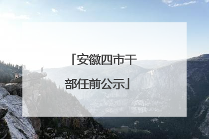 安徽四市干部任前公示
