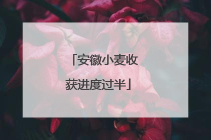 安徽小麦收获进度过半