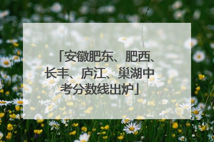 安徽肥东、肥西、长丰、庐江、巢湖中考分数线出炉