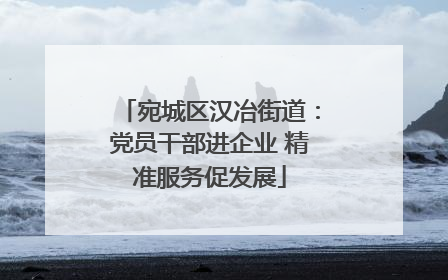宛城区汉冶街道：党员干部进企业 精准服务促发展