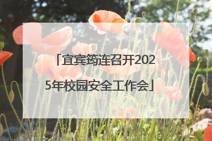 宜宾筠连召开2025年校园安全工作会