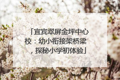 宜宾翠屏金坪中心校：幼小衔接架桥梁，探秘小学初体验