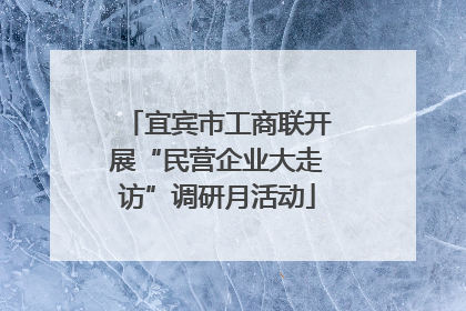 宜宾市工商联开展“民营企业大走访”调研月活动