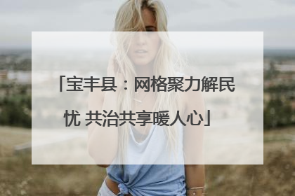 宝丰县：网格聚力解民忧 共治共享暖人心