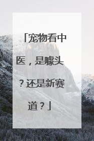宠物看中医，是噱头？还是新赛道？