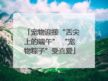 宠物迎接“舌尖上的端午” “宠物粽子”受喜爱