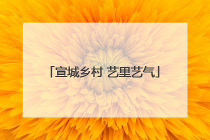 宣城乡村 艺里艺气