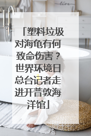 塑料垃圾对海龟有何致命伤害？世界环境日总台记者走进开普敦海洋馆