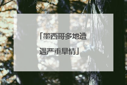 墨西哥多地遭遇严重旱情