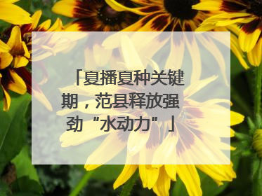 夏播夏种关键期，范县释放强劲“水动力”