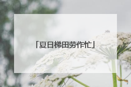 夏日梯田劳作忙