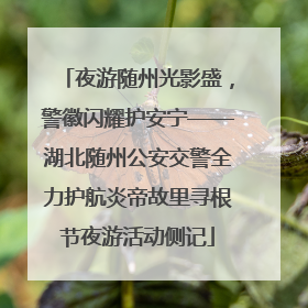 夜游随州光影盛，警徽闪耀护安宁——湖北随州公安交警全力护航炎帝故里寻根节夜游活动侧记