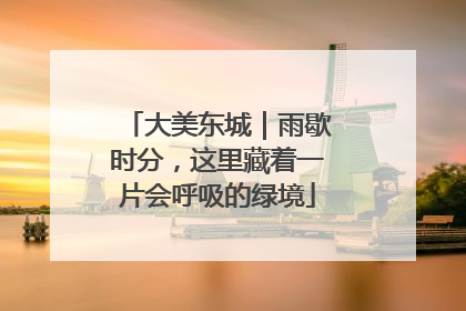 大美东城｜雨歇时分，这里藏着一片会呼吸的绿境