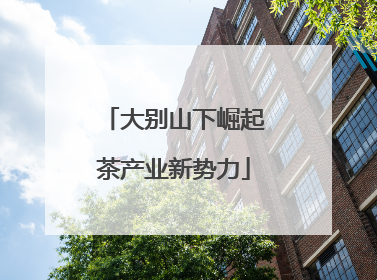 大别山下崛起茶产业新势力