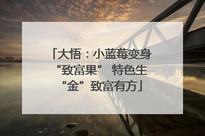 大悟：小蓝莓变身“致富果” 特色生“金”致富有方