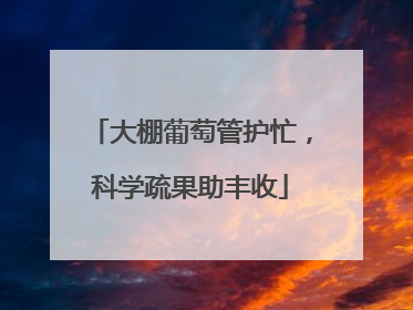 大棚葡萄管护忙，科学疏果助丰收