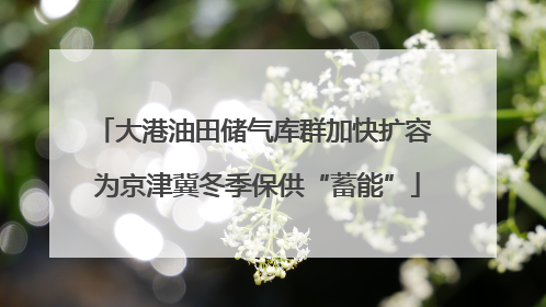 大港油田储气库群加快扩容 为京津冀冬季保供“蓄能”
