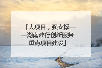 大项目，强支撑——湖南建行创新服务重点项目建设