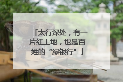 太行深处，有一片红土地，也是百姓的“绿银行”