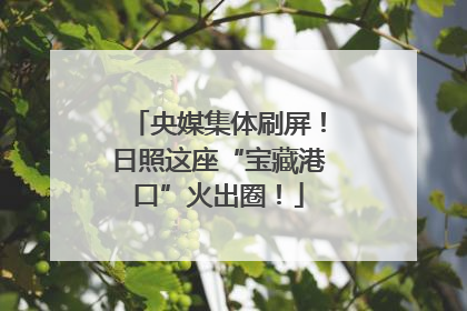 央媒集体刷屏！日照这座“宝藏港口”火出圈！