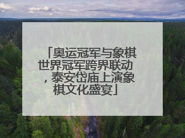 奥运冠军与象棋世界冠军跨界联动，泰安岱庙上演象棋文化盛宴