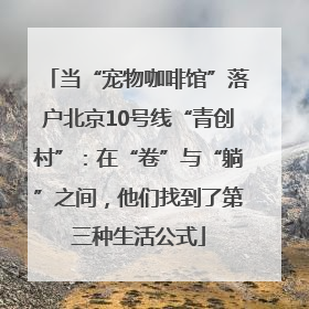 当“宠物咖啡馆”落户北京10号线“青创村”：在“卷”与“躺”之间，他们找到了第三种生活公式