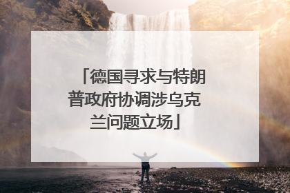 德国寻求与特朗普政府协调涉乌克兰问题立场
