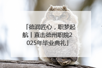 德润匠心，职梦起航丨直击德州职院2025年毕业典礼