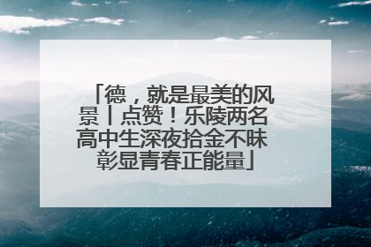 德，就是最美的风景丨点赞！乐陵两名高中生深夜拾金不昧 彰显青春正能量