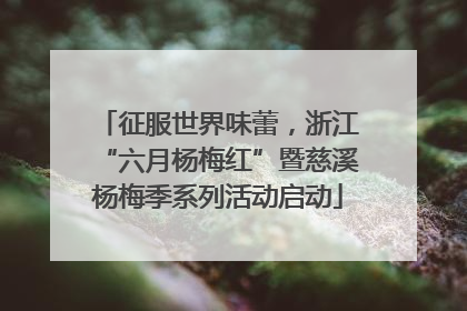 征服世界味蕾，浙江“六月杨梅红”暨慈溪杨梅季系列活动启动
