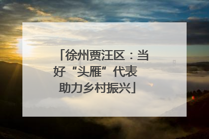 徐州贾汪区：当好“头雁”代表 助力乡村振兴