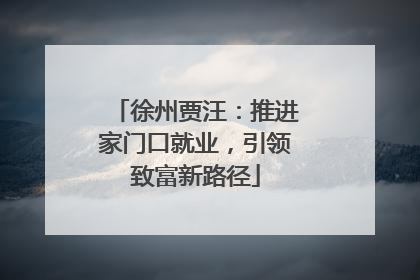徐州贾汪：推进家门口就业，引领致富新路径